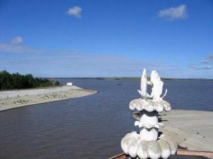 音河水庫 音河水庫