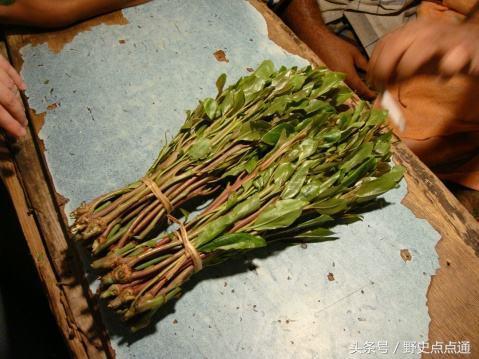 網路配圖 網路配圖