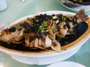 蒸豉汁鱸魚 蒸豉汁鱸魚