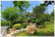 黃山魯森林公園景色