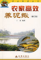 農家高效養泥鰍 農家高效養泥鰍