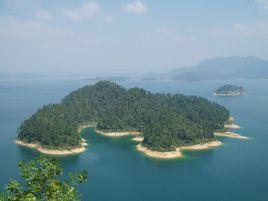 千島湖有機魚 千島湖有機魚