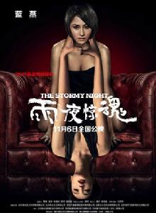 雨夜驚魂[2015年藍燕主演的災難電影]