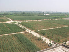 陝西省苗木繁育中心
