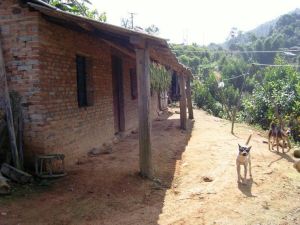 新酒房自然村 新酒房自然村