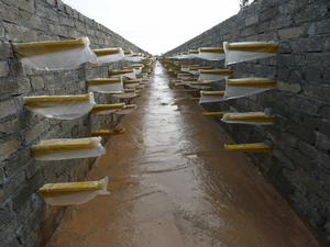 （圖）無鹼玻璃纖維