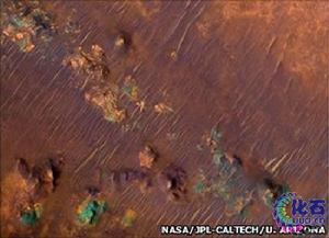 尼利&middot;福薩槽溝