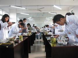 茶葉審評 茶葉審評