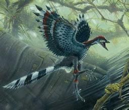 三瘤齒獸 三瘤齒獸