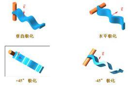 垂直極化 垂直極化