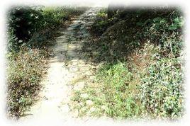 桐嶺古道 桐嶺古道