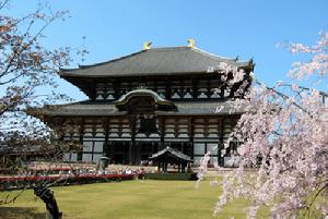 紫香樂宮 紫香樂宮