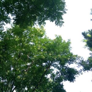 現代青年論壇 現代青年論壇