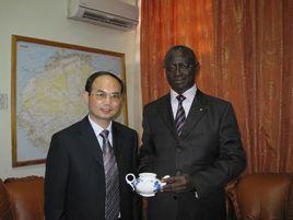 將軍大使 將軍大使