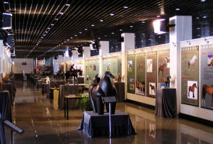 馬博物館