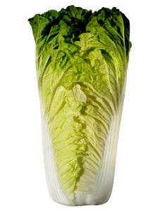 北京小雜67號 北京小雜67號