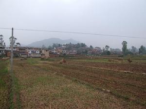 大武莊自然村-農田