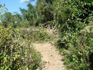 上老郭寨村 上老郭寨村