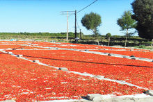 諾木洪村 諾木洪村