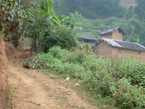 泥格底村 泥格底村