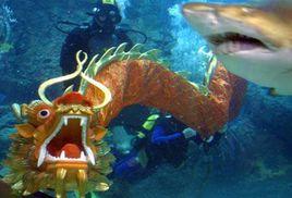 江神大君 江神大君