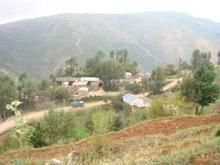 坪子地村 坪子地村