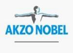荷蘭阿克蘇諾貝爾公司