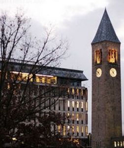 美國康奈爾大學 美國康奈爾大學