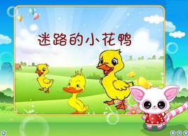 迷路的小花鴨 迷路的小花鴨