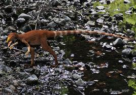 中華鳥龍[一種小型食肉恐龍]