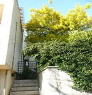 福利尼奧 福利尼奧