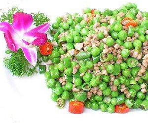 紹子青豆 紹子青豆