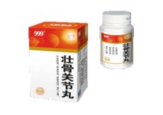 壯骨關節丸 壯骨關節丸