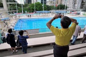 維多利亞公園游泳池