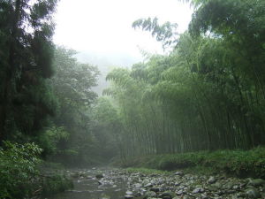 （圖）黑熊谷森林公園