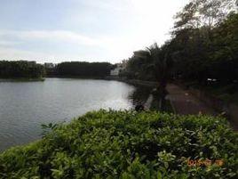 新會大雲山自然生態公園 新會大雲山自然生態公園