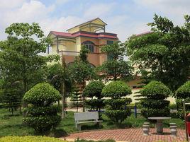 南寧文化大院 南寧文化大院