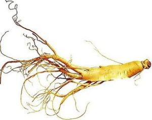 人參皂苷Rd 人參皂苷Rd