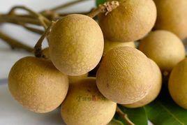 古山二號 古山二號