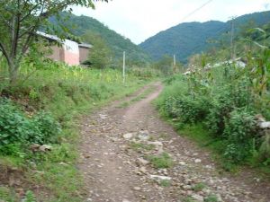 耐石河自然村 耐石河自然村