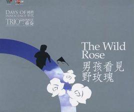 男孩看見野玫瑰[洪卓立]