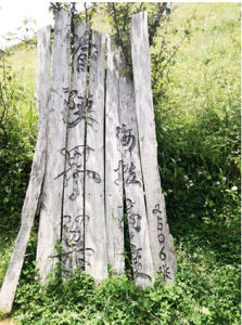 渝陝界梁 渝陝界梁