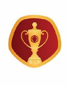 俄羅斯杯 俄羅斯杯