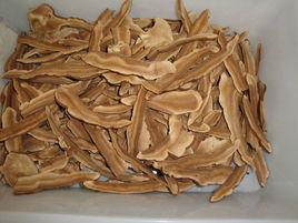 靈芝切片 靈芝切片