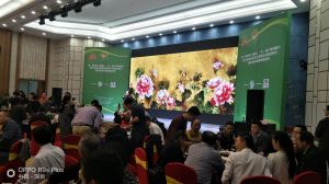 一鄉一品專業鄉鎮村