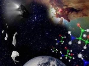 左型胺基酸 左型胺基酸