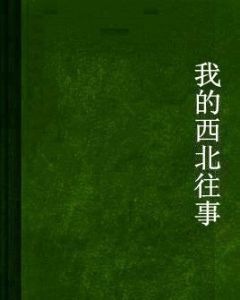 我的西北往事 我的西北往事