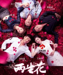 兩生花[2015年劉愷威、王麗坤主演電視劇]