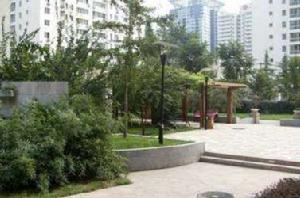 龍吟國際 龍吟國際