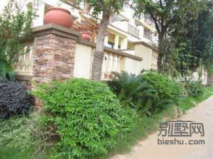 金葉花園陽光別墅